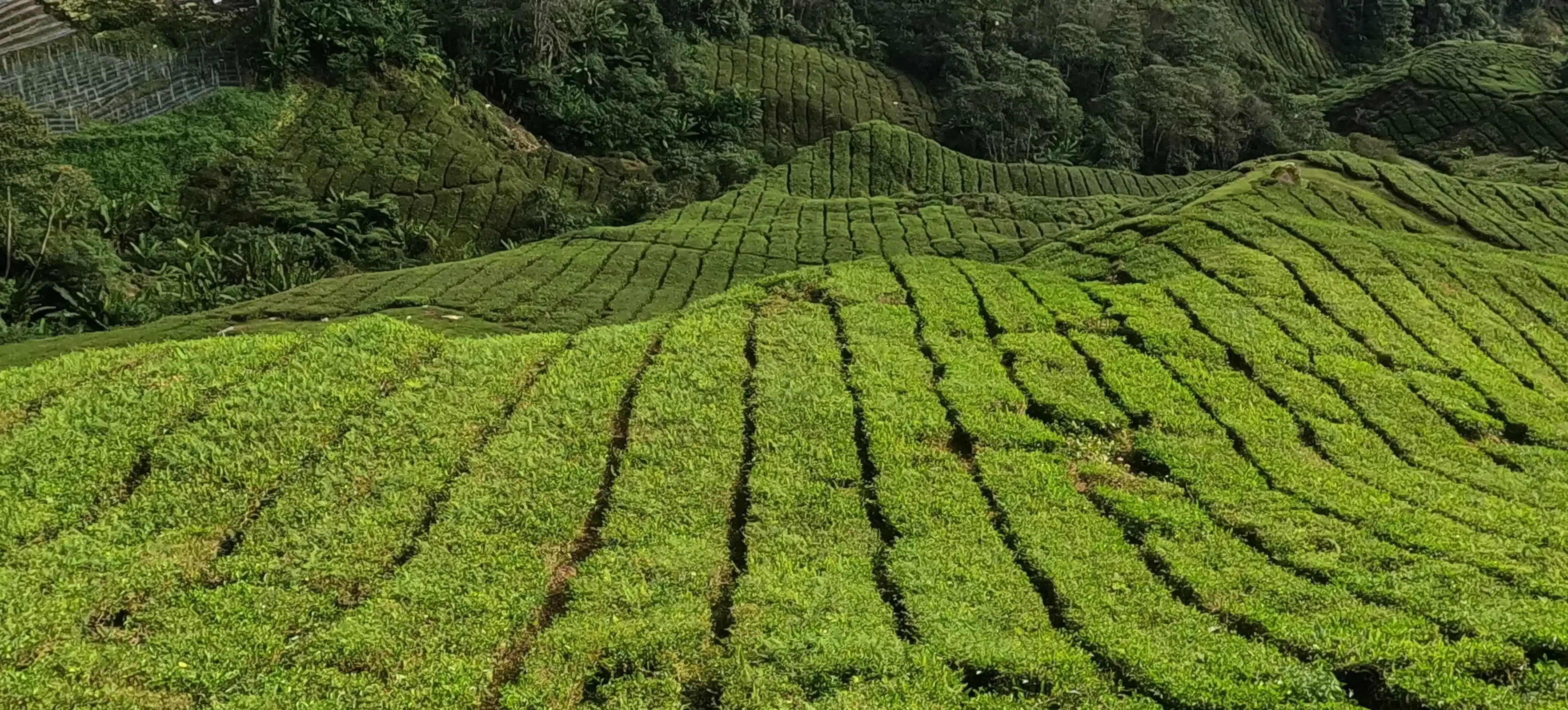 Travel Lecture: Singapore, Brunei and Malaysia — ART Rubikon z.s., Olomouc