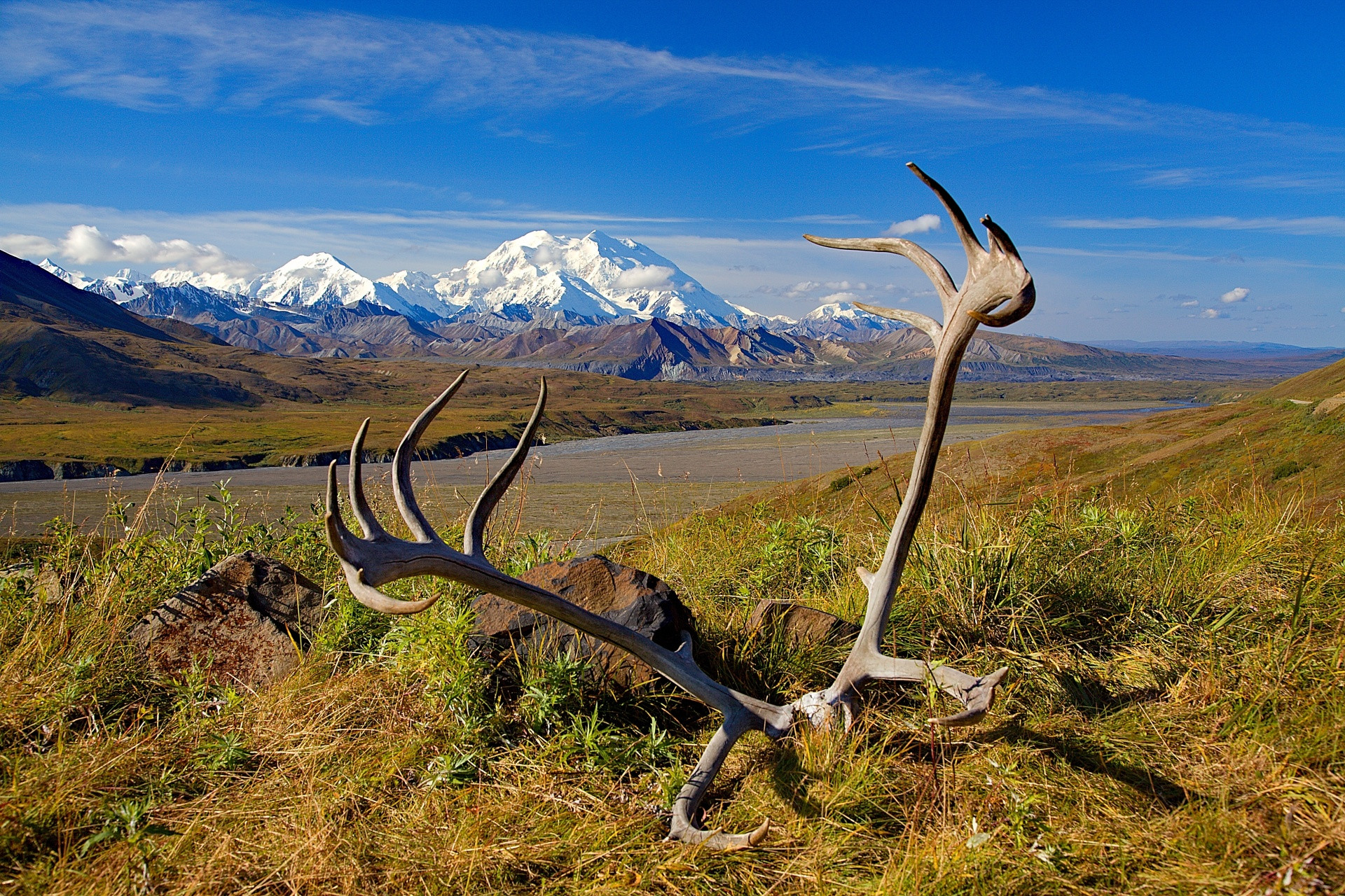 Travel Lecture: Alaska and Yukon - Wilderness, Glaciers and Gold Rush — ART Rubikon z.s., Olomouc